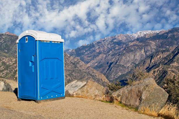 Best Portable Toilets with Baby Changing Stations  in Princeton, TX